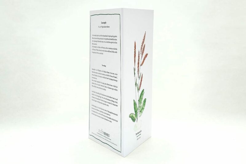 Wegesrandkraeuterkarte Sauerampfer für die Kräuterwanderung | greeting card with wild herbs common sorrel| studiokaramelo