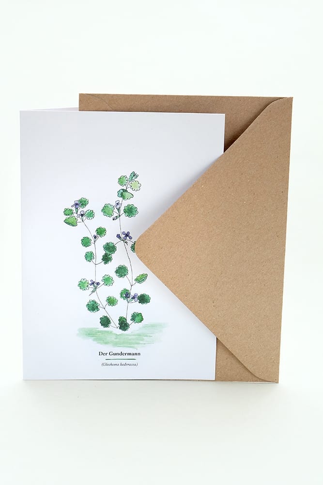 Wegesrandkraeuterkarte Gundermann für die Kräuterwanderung | greeting card with wild herbs ground ivy | studiokaramelo