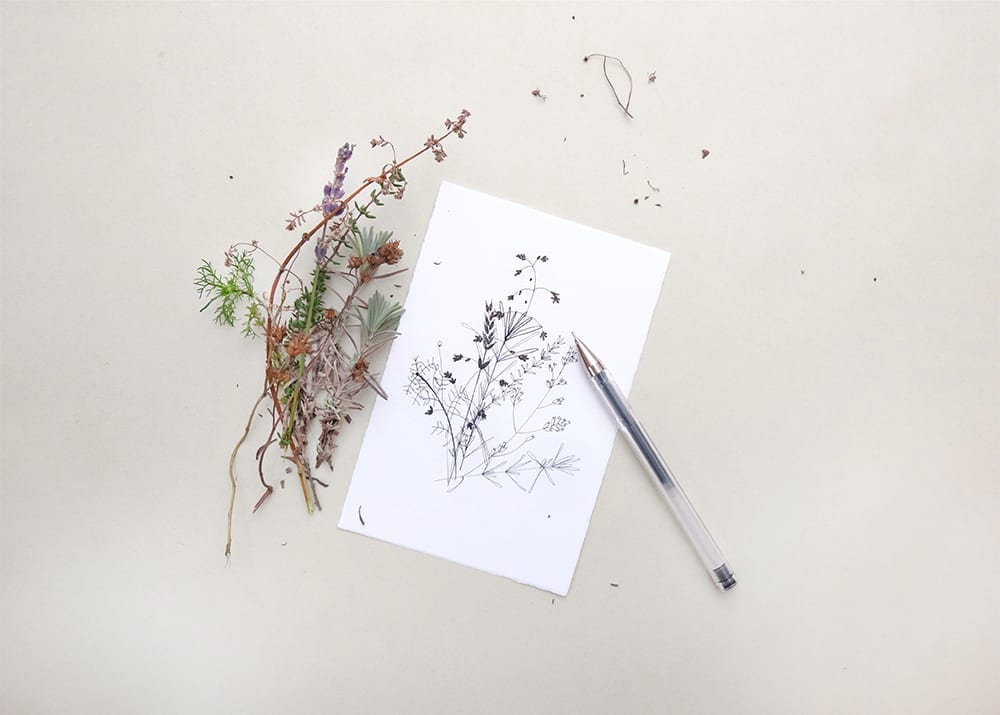 Botanische Zeichnung,Zweige, botanical drawing, branches, sketchbook | STUDIOKARAMELO