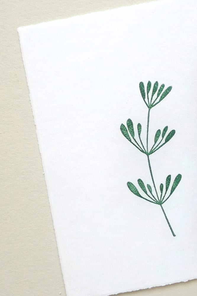 Stempelkissen Evergreen, Immergrün, Versacolor