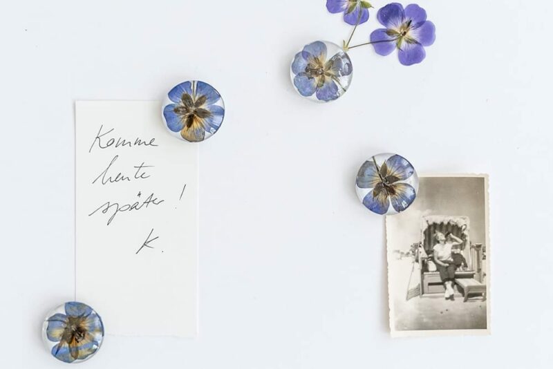 Magnete mit gepressten Blüten, Veilchen Farn und Ringelblumen, Verlag freies Geistesleben