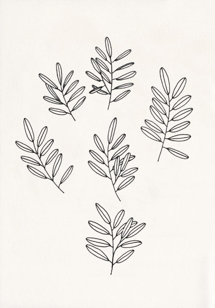 botanische Illustration, Zweige, florale Zeichnung | STUDIO KARAMELO