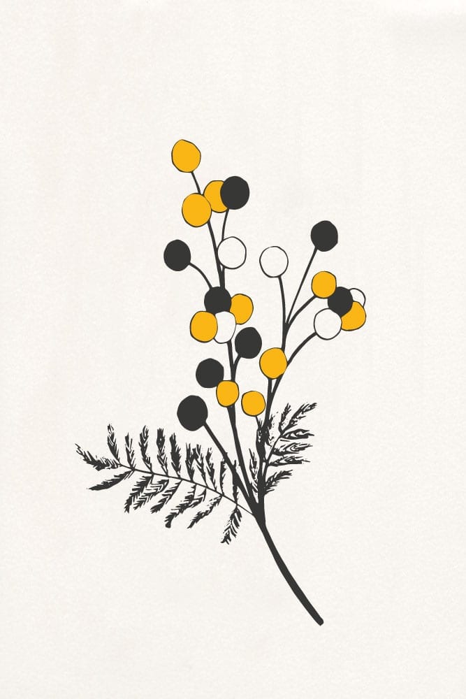 florale Illustration, Rainfarn, botanische Illustration | STUDIO KARAMELO
