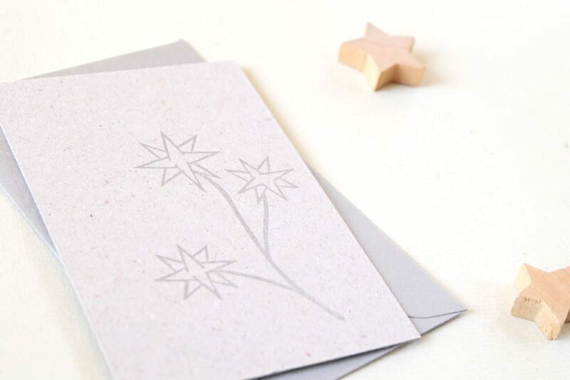 Weihnachtsstempel Sternblume | christmas rubber stamp starflower